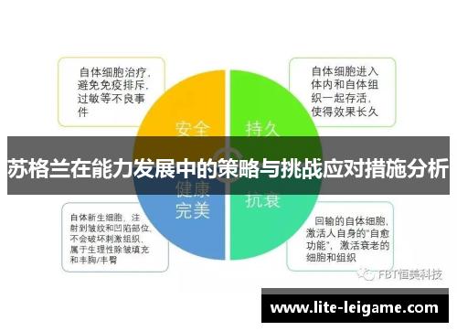 苏格兰在能力发展中的策略与挑战应对措施分析 苏格兰在能力发展中的策略与挑战应对措施分析
