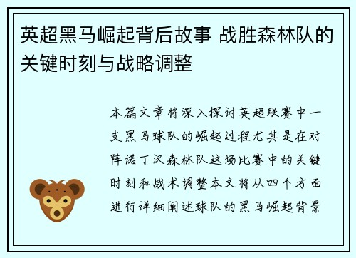 英超黑马崛起背后故事 战胜森林队的关键时刻与战略调整