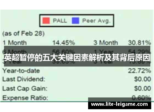 英超暂停的五大关键因素解析及其背后原因