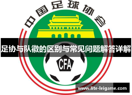 足协与队徽的区别与常见问题解答详解