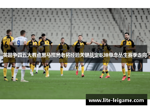 英超争四五大看点黑马搅局老将经验关键战定乾坤悬念丛生赛季走向